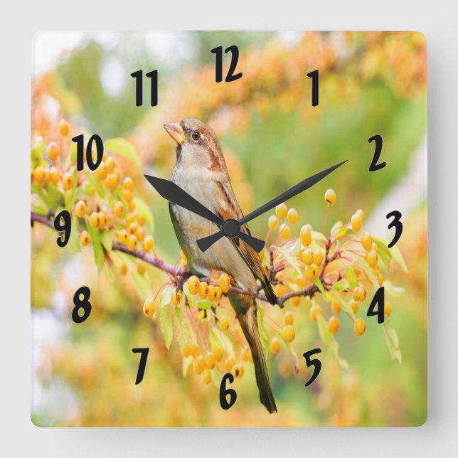 Horloge Carrée Spring time Sparrow (Recto)