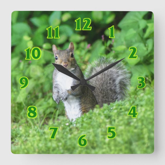 Horloge Carrée Squirrel  (Recto)