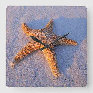 Horloge Carrée Starfish On White Sand