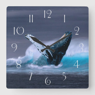 Horloge Carrée Stunning humpback whale