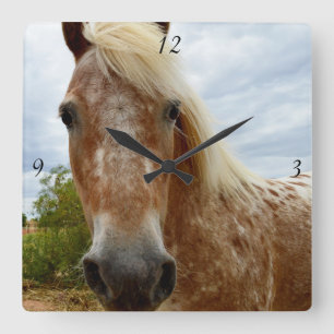 Horloge Carrée Sugar The Appaloosa Horse, Square Wall Clock.