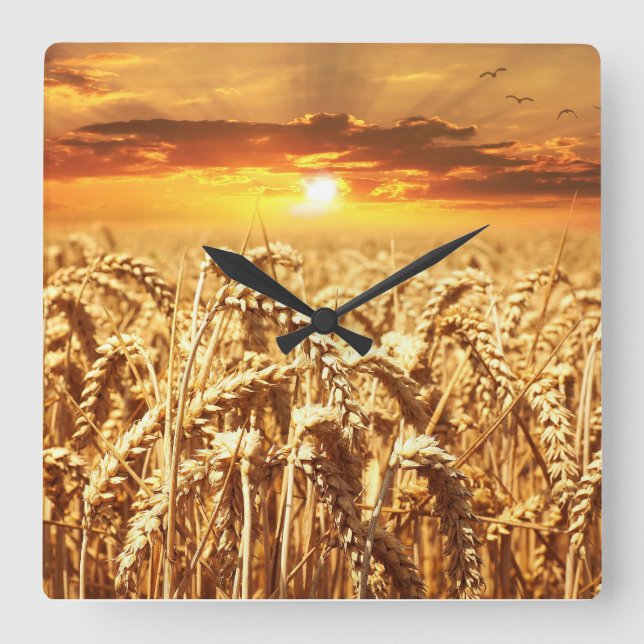 Horloge Carrée Sunset and Wheat Field (Recto)