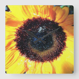 HORLOGE CARRÉE SUNTIME