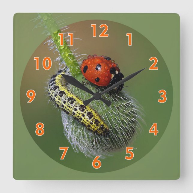 Horloge Carrée Super mignonne Lady Bug & Caterpillar (Recto)