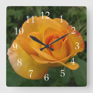 Horloge Carrée Superbe Rose Péché