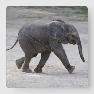 Horloge Carrée Sweet Baby Elephant Kibali