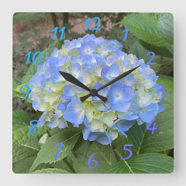 Horloge Carrée Sweet Pale Blue Mophead Hydrangea Numeral Clock (Recto)