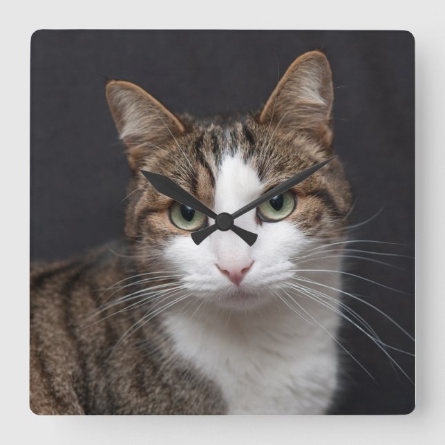 Horloge Carrée Tabby Chat avec yeux verts contre Arrière - plan n (Recto)