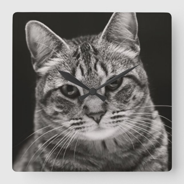 Horloge Carrée Tabby noir Kitten (Recto)