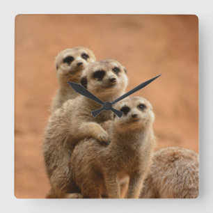 HORLOGE CARRÉE TASSE SURICATE FAUNE