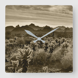Horloge Carrée Teddy Bear Cholla Cactus Plante du désert