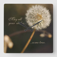 Tête de graines de Dandelion en tons Brown