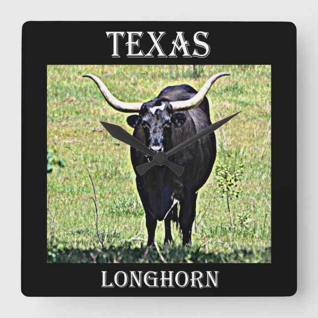 Horloge Carrée Texas Longhorn (Recto)