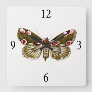 Horloge Carrée Thyatira batis - La teigne de fleur de la peau