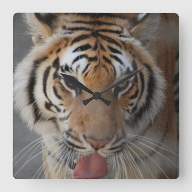 Horloge Carrée Tiger Kisses Wall Clock (Recto)