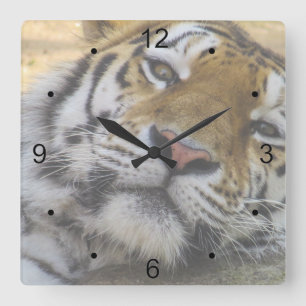 Horloge Carrée Tigre endormi