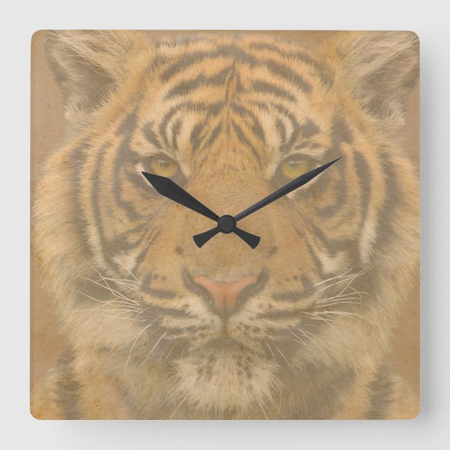 Horloge Carrée Tigre Wall Clock (Recto)