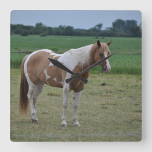 Horloge Carrée Tobiano Paint Horse