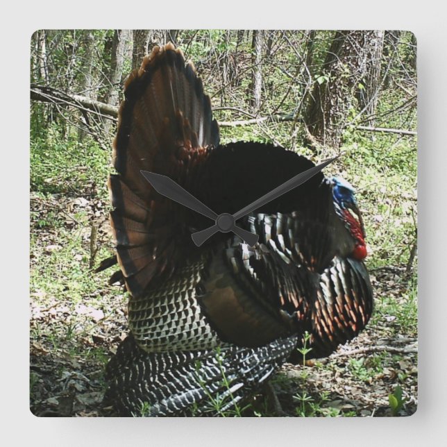 HORLOGE CARRÉE TOM TURKEY FULL STRUT SQUARE WALL CLOCK (Recto)