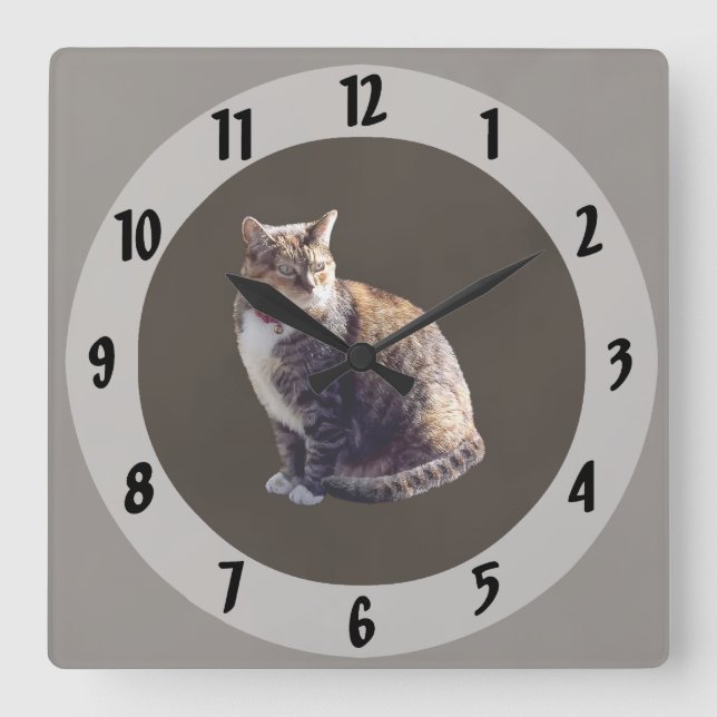 Horloge Carrée Tortoiseshell (Recto)