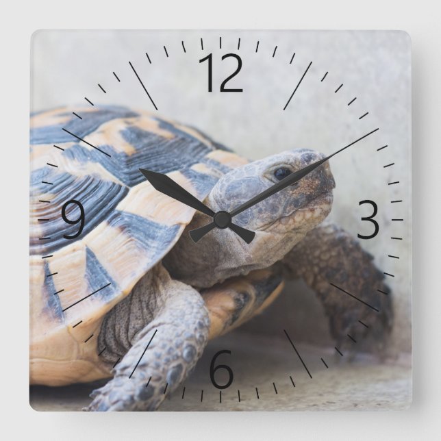 Horloge Carrée Tortue (Recto)