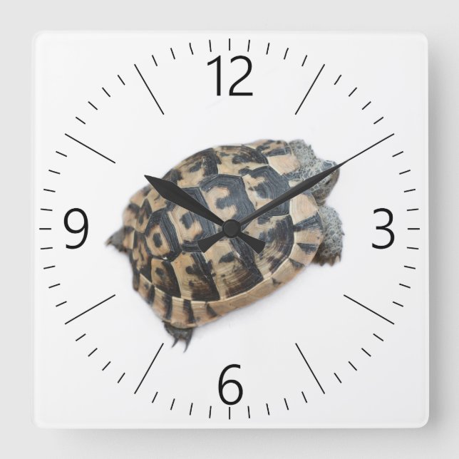 Horloge Carrée Tortue (Recto)
