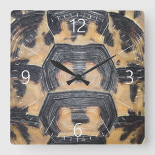 Horloge Carrée Tortue
