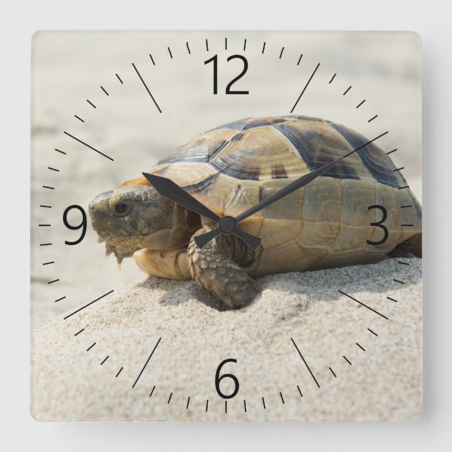 Horloge Carrée Tortue (Recto)