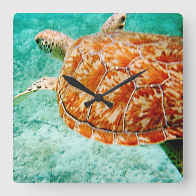 Horloge Carrée Tortue de mer (Recto)
