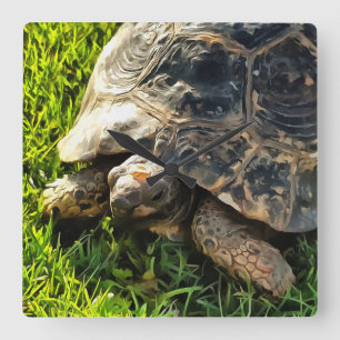 Horloge Carrée Tortue Sauvage Dans L'Herbe Pré Art De La Faune