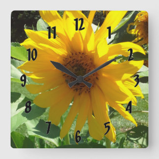 Horloge Carrée Tournesol aux abeilles