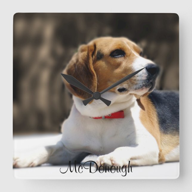 Horloge Carrée Tricolor Beagle (Recto)