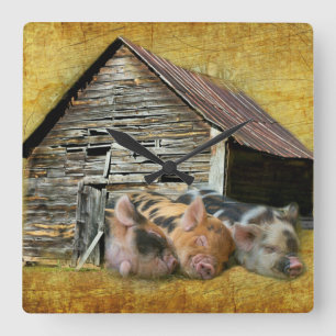 Horloge Carrée Trois Petits Cochons À La Barne Rustique Qui Snoo