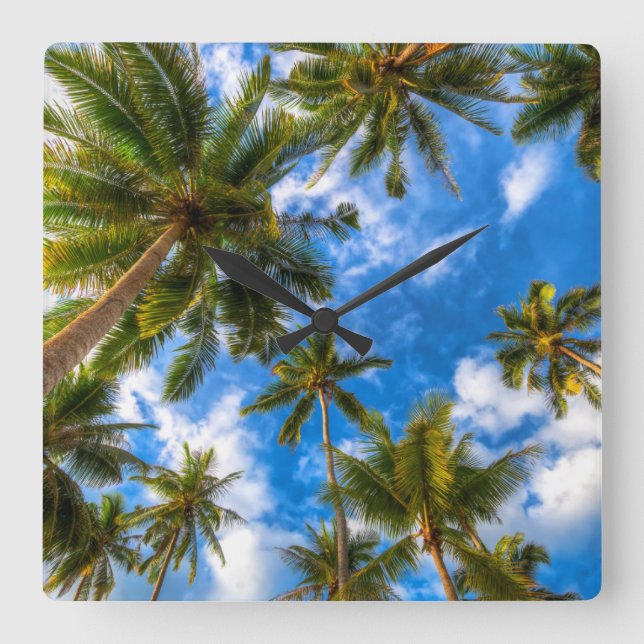 Horloge Carrée Tropical Beaches | Palm Trees on Blue Sky (Recto)