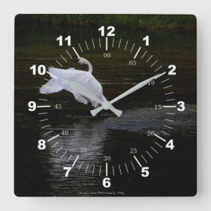 Horloge Carrée Trumpeter Swan