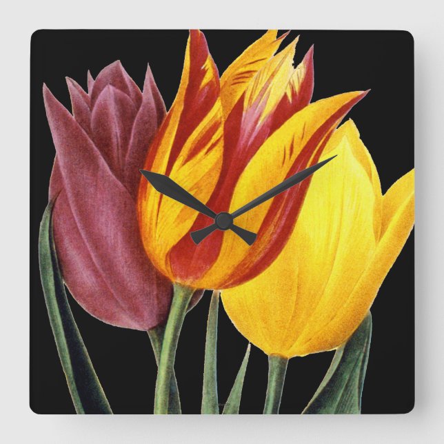 Horloge Carrée Tulipe (Tulipa Gesneriana) (Recto)