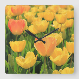 Horloge Carrée Tulipes de jaune orange par Thespringgarden