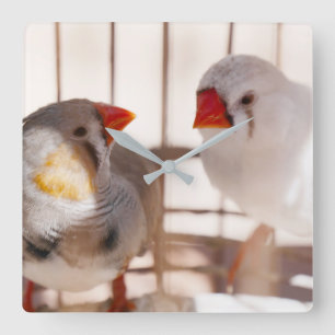 Horloge Carrée Two Cute Finches