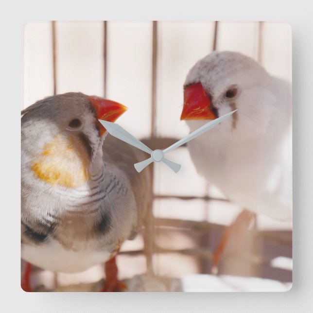 Horloge Carrée Two Cute Finches (Recto)