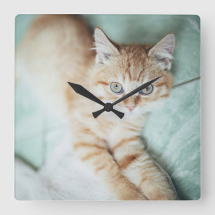 Horloge Carrée Un chaton d'or de couleur se couchant