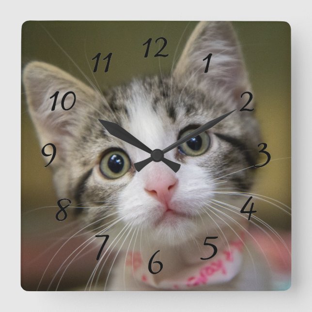 Horloge Carrée Un chaton mignon aux yeux verts (Recto)