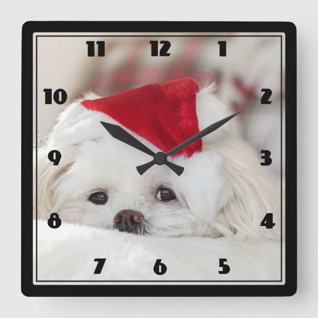 Horloge Carrée Un mignon chien blanc dans un Casquette de Noël ro (Recto)