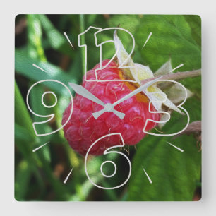 Horloge Carrée Une framboise mûre