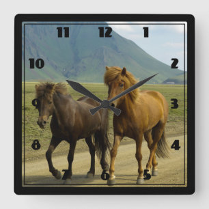 Horloge Carrée Une paire de poneys islandais Brown