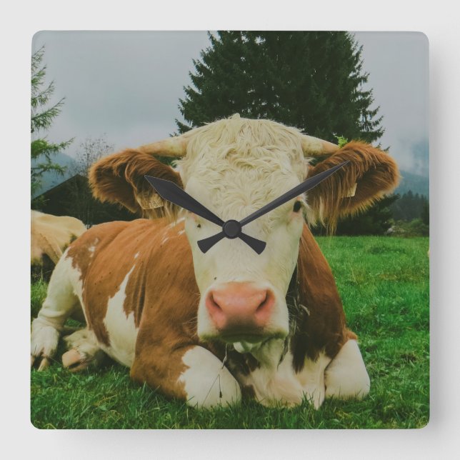 Horloge Carrée Vaches (Recto)