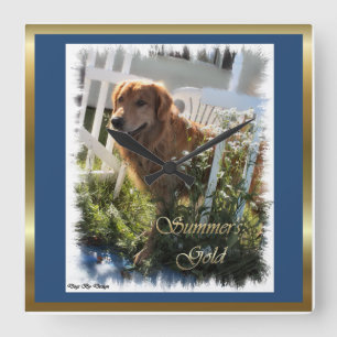 Horloge Carrée Venin de Golden Retriever