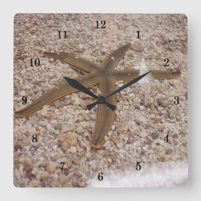 Horloge Carrée Very Cool Starfish Wall Clock (Recto)