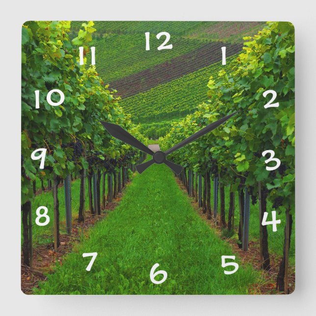 Horloge Carrée Vignoble (Recto)