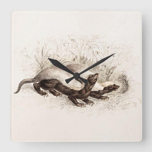 Horloge Carrée Vintage 1800s Honey Badger Bee Hive Modèle Retro (Recto)