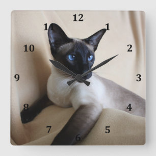 Horloge Carrée Visage magnifique de chat siamois
